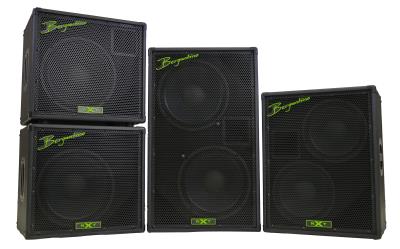 Bergantino NXT112 Speaker Cabinet