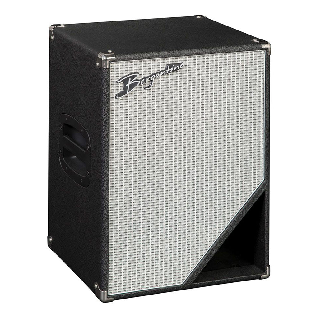Bergantino HPN210 Speaker Cabinet