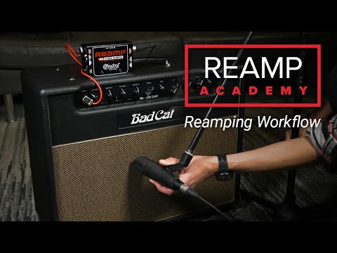 Radial ProRMP Mono Passive Reamper – RocketMusic
