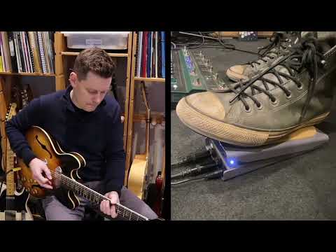 lehle expression pedal Lehle Dual Expression Pedal – RocketMusic