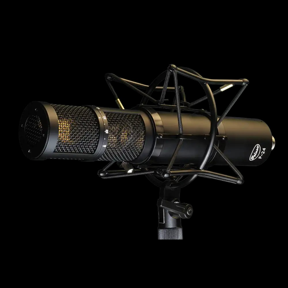Peluso P-24 Stereo Large Diaphragm Condenser Tube Microphone