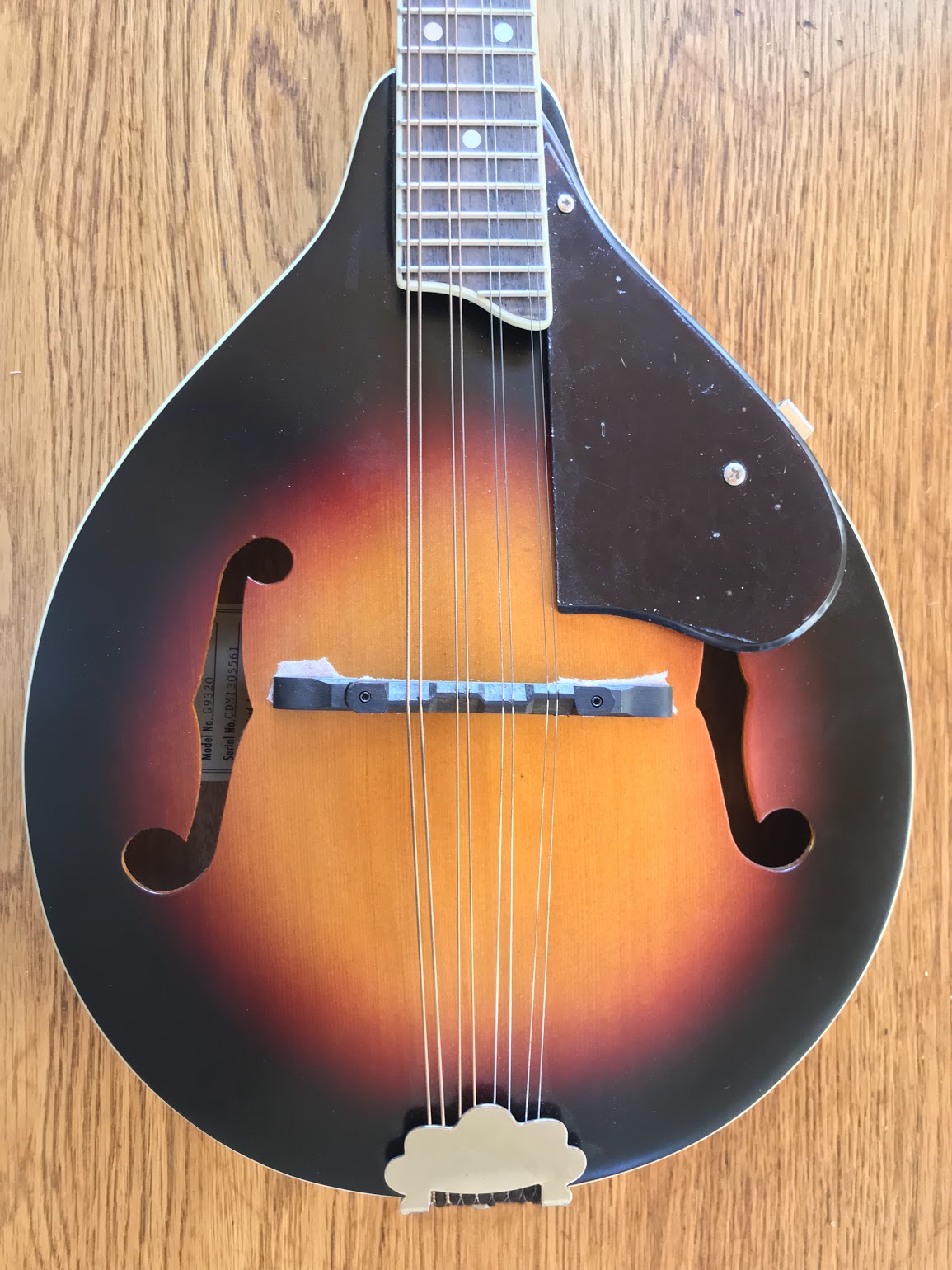 Mandolin (Gretsch Roots) New Yorker Deluxe Mandolin A/E 3 Tone Sunburst